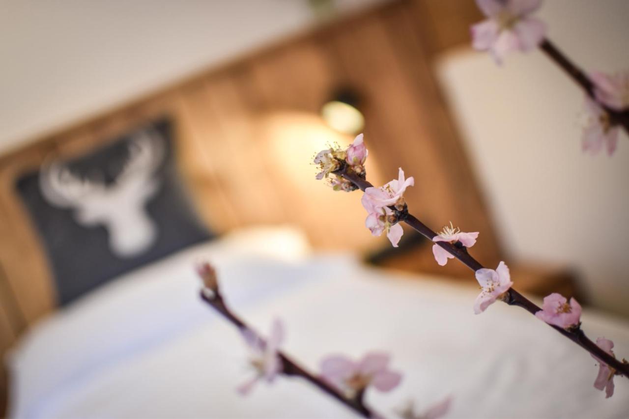 Luxx Lodges - Holzgau - Lechtal - Arlberg 外观 照片